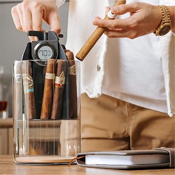 CASE ELEGANCE Cylindor Glass Jar Humidor, Black Ashwood, Holds 25-35 Cigars