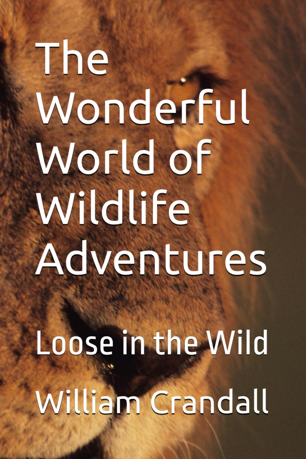 The Wonderful World of Wildlife Adventures: Loose in the Wild