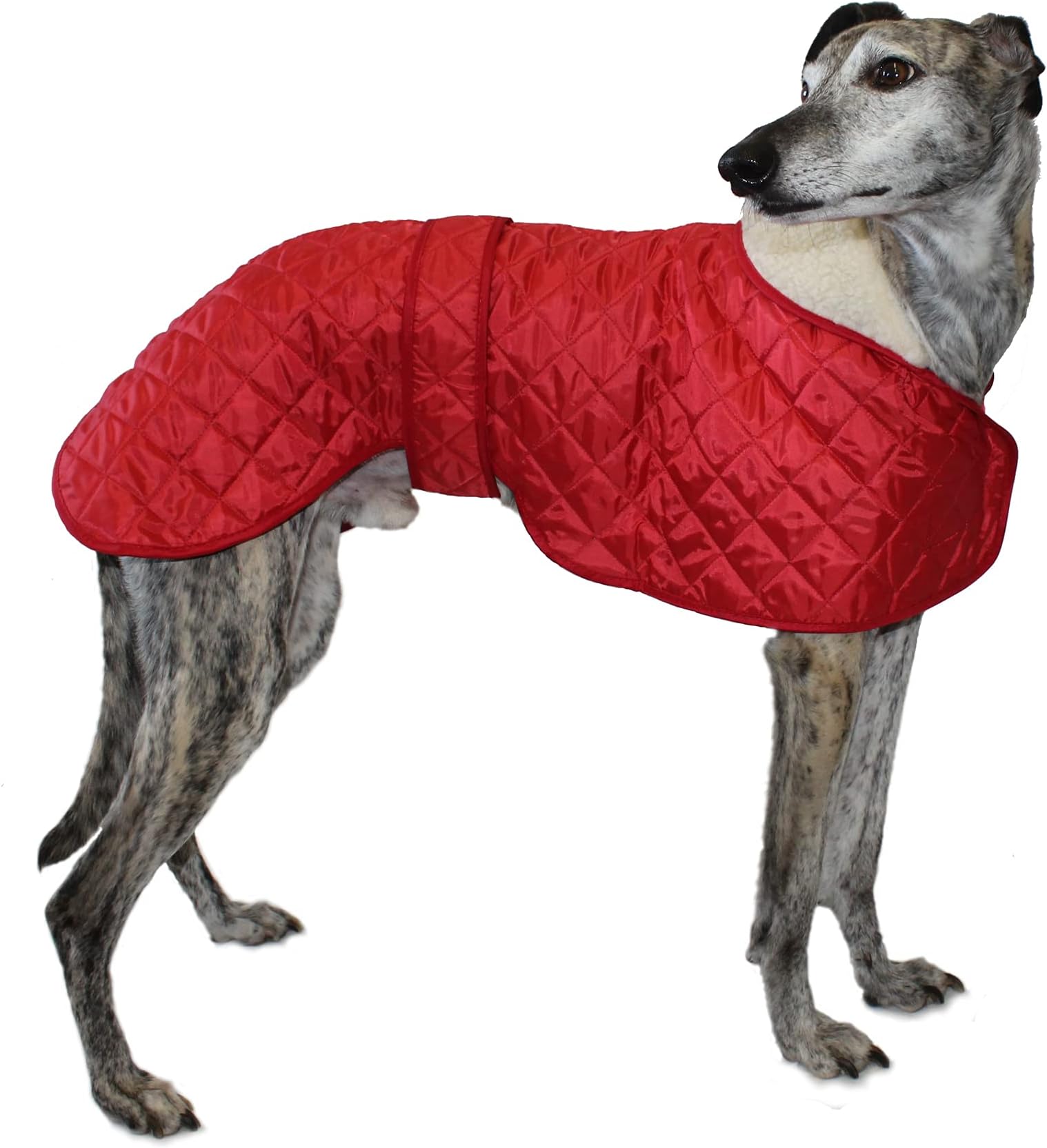 CosipetGreyhound Anorak Nylon Coat, 51 cm, Red