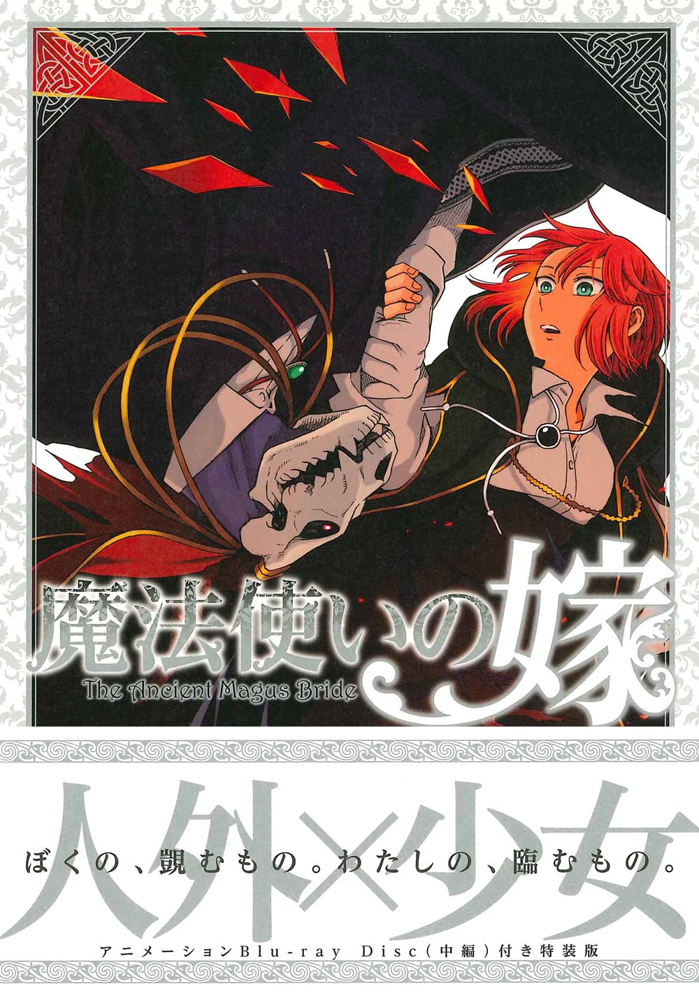 特装版 魔法使いの嫁 17巻 アニメbd付 ブレイドコミックス スペシャル ヤマザキコレ 本 通販 Amazon