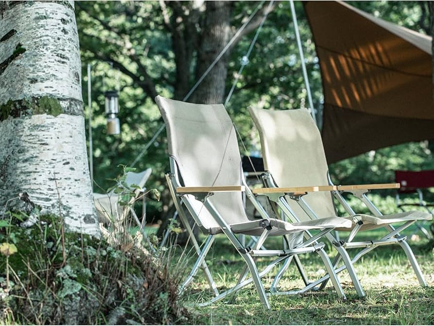 Amazon.co.jp: スノーピーク(snow peak)【野遊びセット】ローチェア30