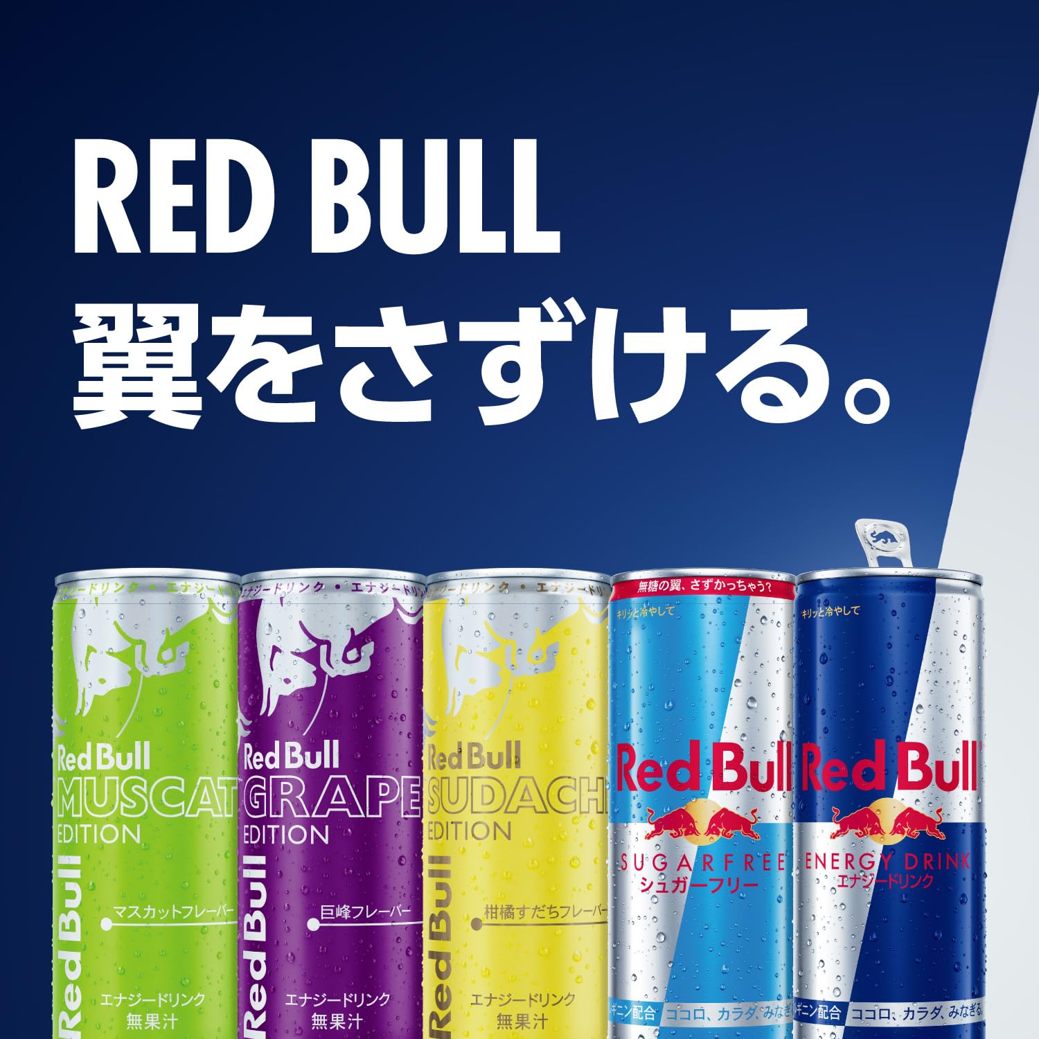 Amazon.co.jp: レッドブル エナジードリンク シュガーフリー 250mlx4本