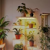 Vista 7 de Luz de Crecimiento, Panel Ultrafino de 40W Luces de Crecimiento para Plantas de Interior, 316 LEDs Luces de Crecimiento de Espectro Completo