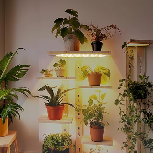 Miniatura 7 de Luz de crecimiento, panel ultrafino de 40 W para plantas de interior, 316 luces LED de espectro completo para plantas debajo del gabinete, lámpara