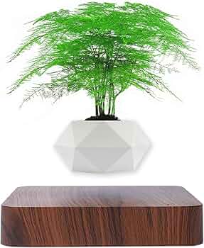 空中に植物を浮かせる 新しいプランター 空中に植物を浮かせる 新しいプランター