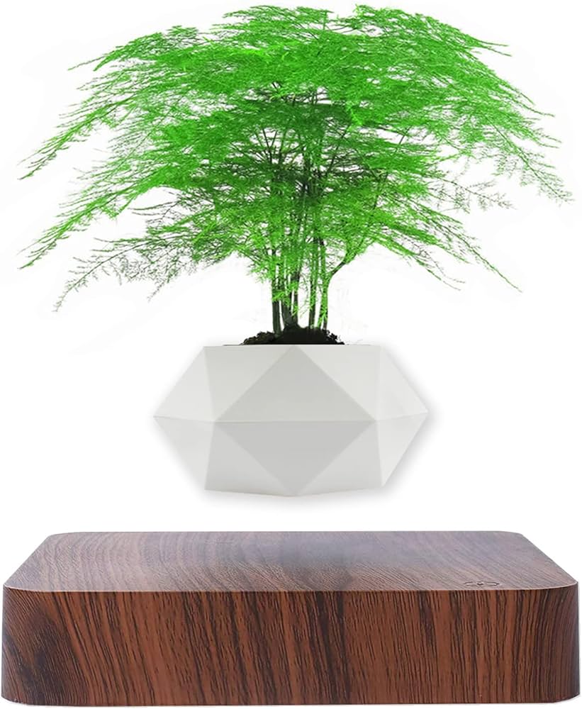 【新品未使用】HCNT 浮遊プランター　ホワイト 新品未使用】HCNT 浮遊プランター ホワイト Amazon.co.jp: 磁気浮上