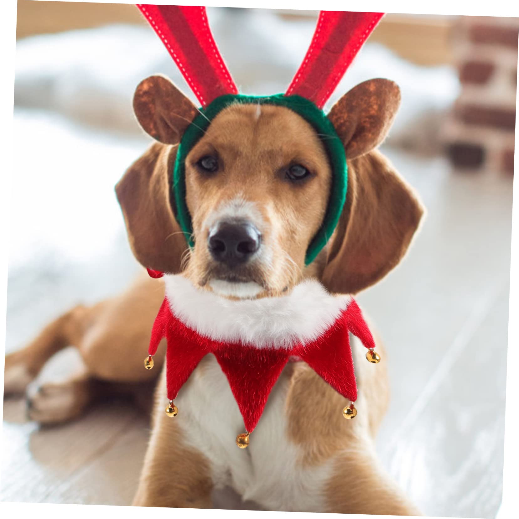 Kisangel Collier de Noël Ajustable avec Clochettes pour Chien et Chat Confortable et Décoratif