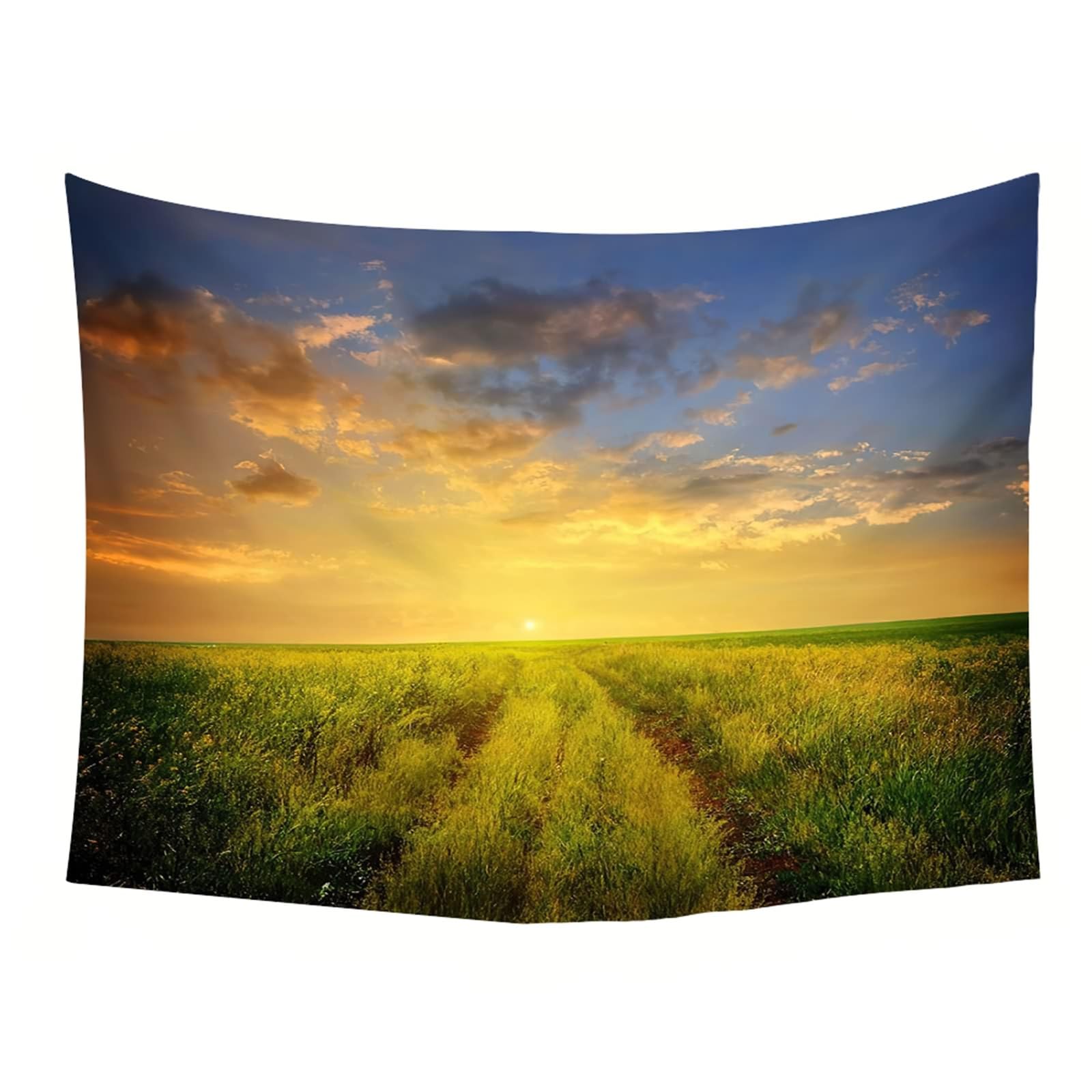 Tappeto Parete Soggiorno, Scenario di Terreni agricoli da Appendere alla Parete per la Decorazione della casa, 260x240cm