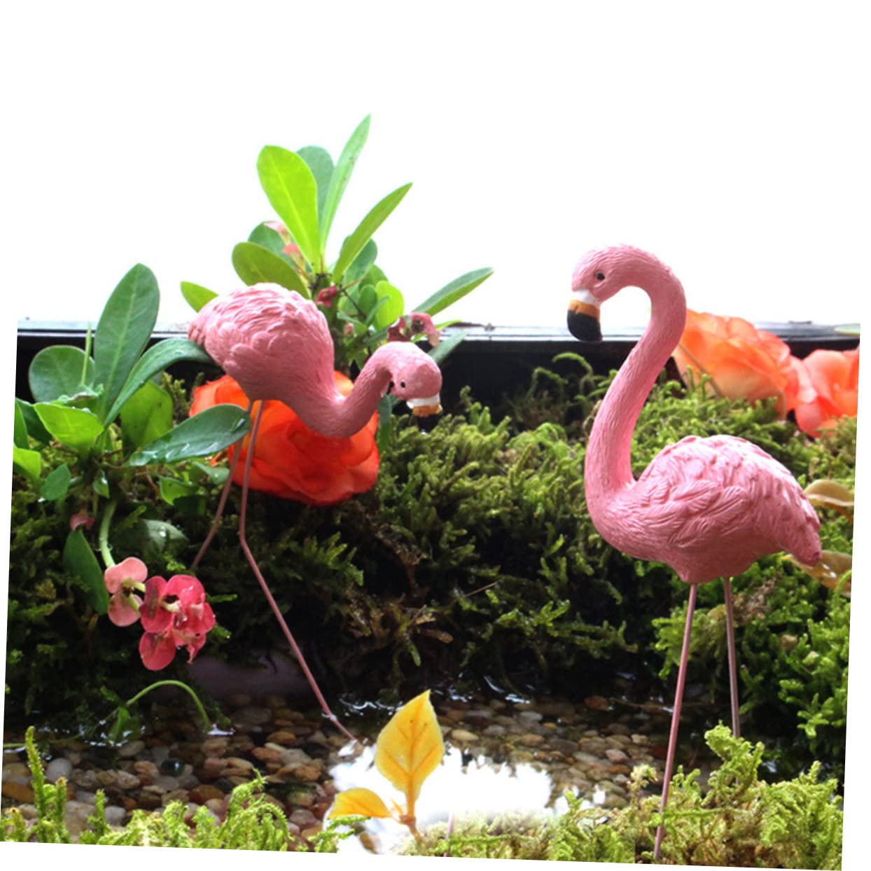 Toddmomy 2 set Ornamento Fenicottero Per Prato Micro Pianta Balcone Decorazioni Oh Pot Fenicotteri In Miniatura Decorazioni Per La Casa Originali Decorazioni Da Giardino 4 pezzi * 2
