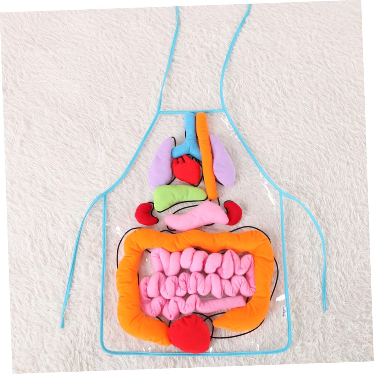 Mikinona Delantal de Órganos del Cuerpo Humano 3D para Niños, Herramienta Cognitiva Educativa Órganos en Plástico, Adecuado para Aprendizaje en Preescolar y Uso en Casa