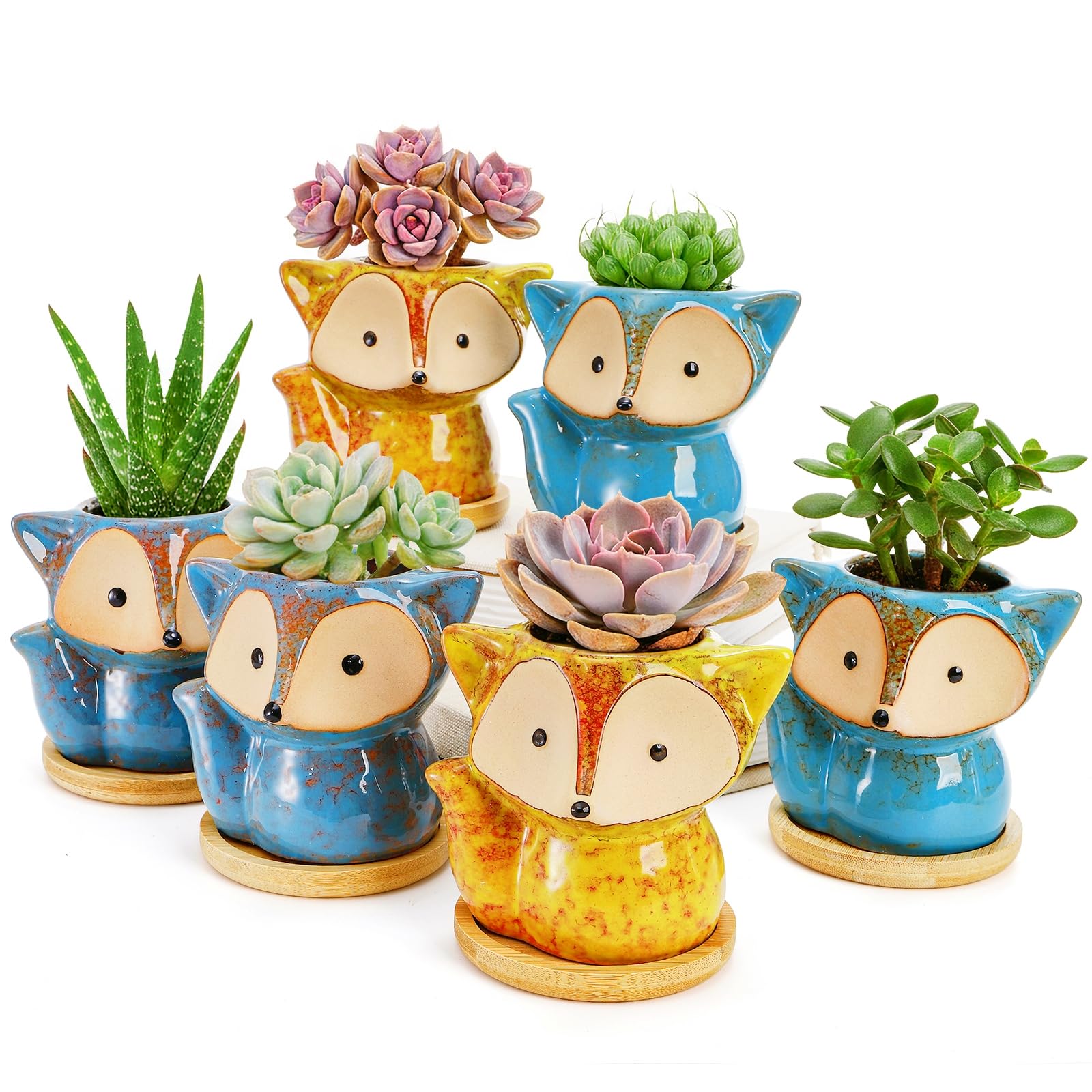 Amazon.com: Dicunoy 6 Pack Mini Animal Succulent Planters with