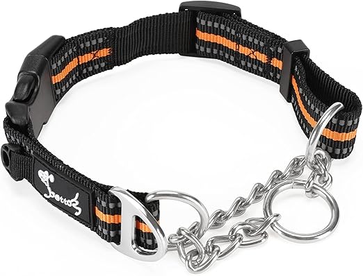 Collare A Semi-Strozzo Per Cani In Nylon Imbottito Con Catena In Metallo - Regolabile E Sicuro