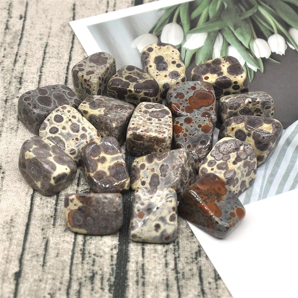 AtkitS Bellissimo Naturale variegato Fiocco di Neve Ghiaia Campione Dimensione Irregolare burattato Pietra curativa Cristal di Quarzo Minerale Decorazione Acquario Domestico(500g)