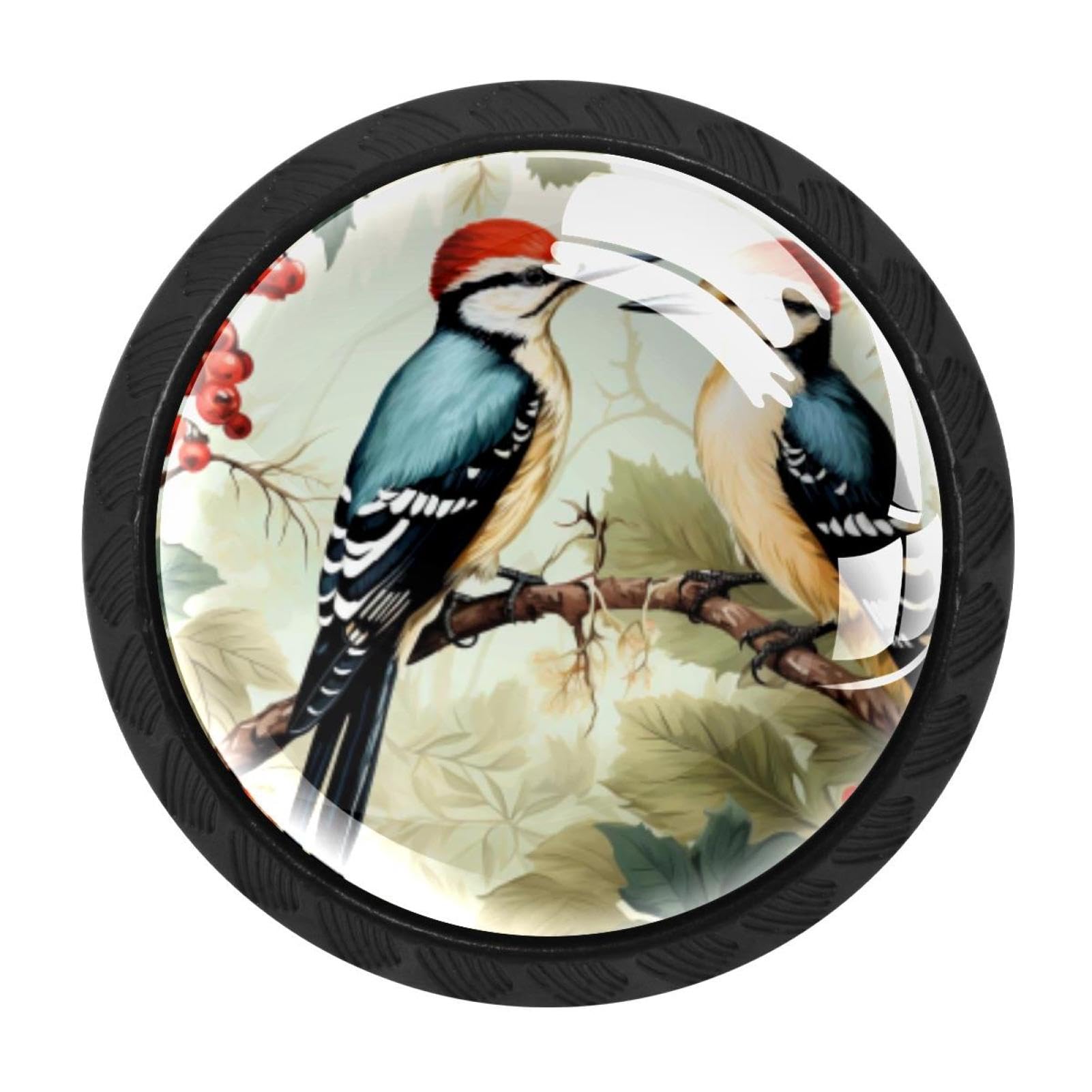 CHENZZZZ 4 pcs Woodpecker Cabinet Knobs Crystal Drawer Pulls for Kitchen, Bathroom Cabinet, Dresser and Cupboard
