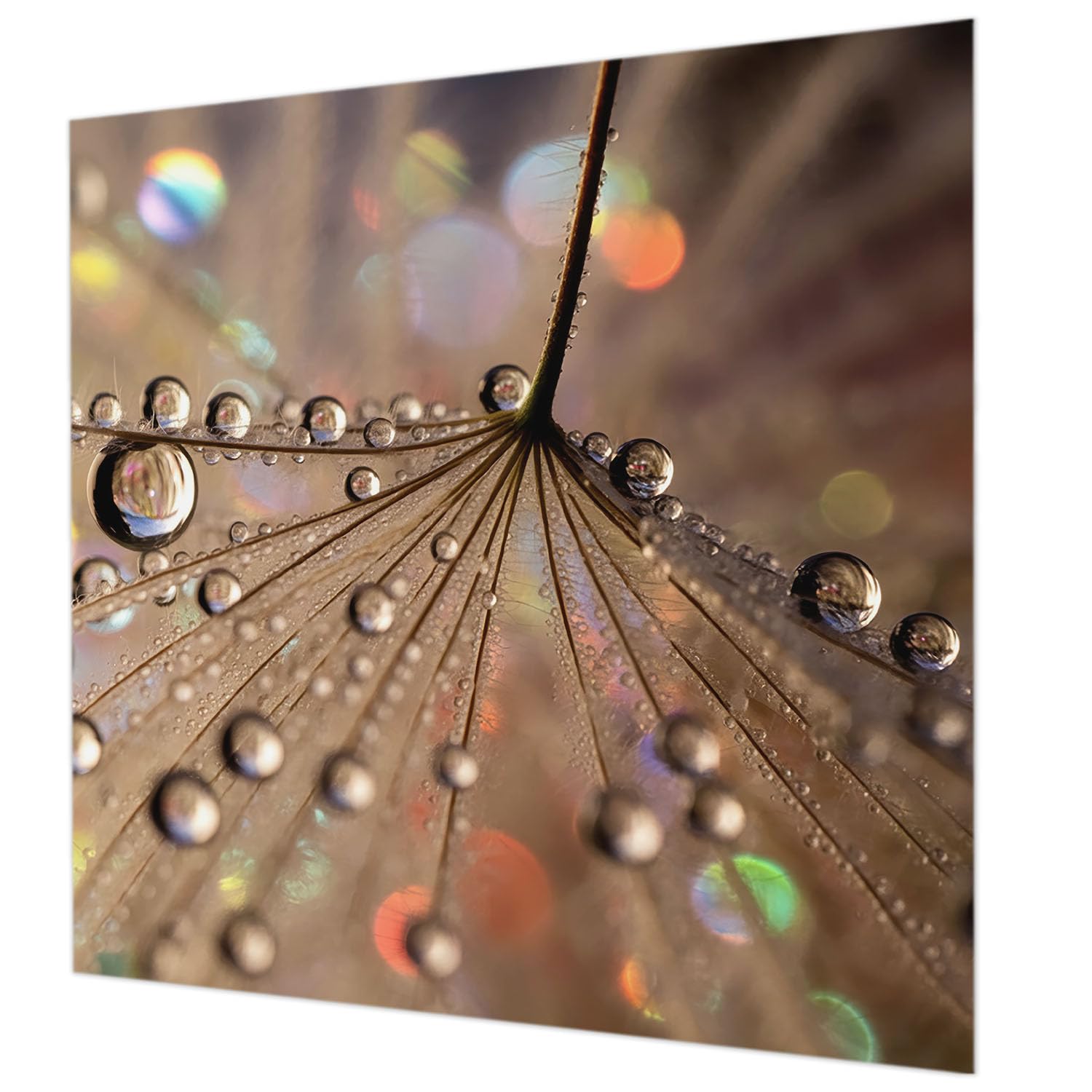 Papier peint mural intissé 250x250 cm décoration salon colle incluse motif perle