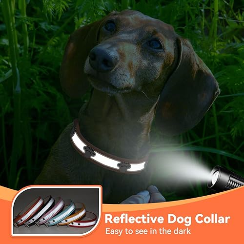 Miniatura 5 de PETCARE Collar reflectante para perro con lindo remache de pata tachonado, divertido collar ajustable de piel sintética suave para cachorros