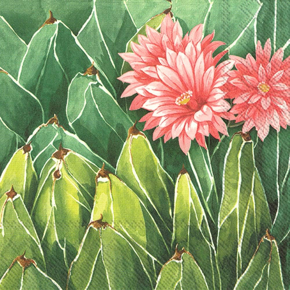 Boston International IHR 3層カクテル飲料ペーパーナプキン 20枚 5&times;5インチ モハーヴェ