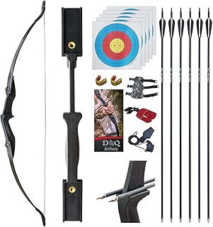 D&Q Ambidextrous Recurve Bow and Arrow 20Lbs Archery Set for Adult Junior Beginner Teenager Youth Outdoor Training Target Practice Takedown Bow Kit with Arrows Left Right Handed