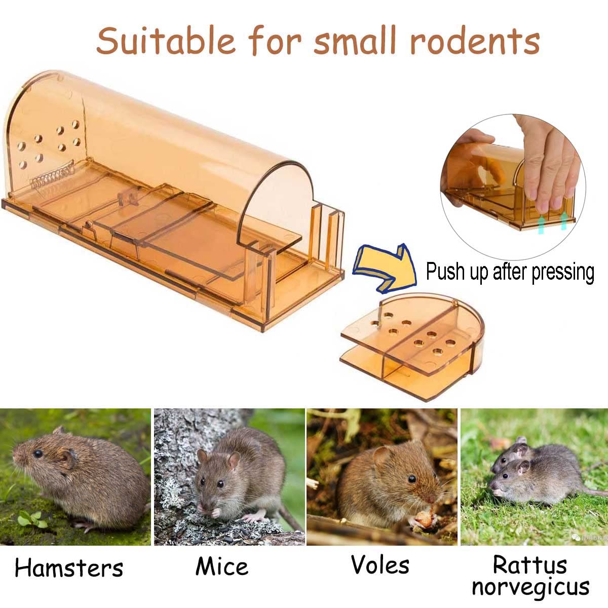 Lot De 4 Pièges à Souris Vivants - Piège Hygiénique Respectueux Des Animaux - Très Sensible Avec Aération - 21,5 Cm