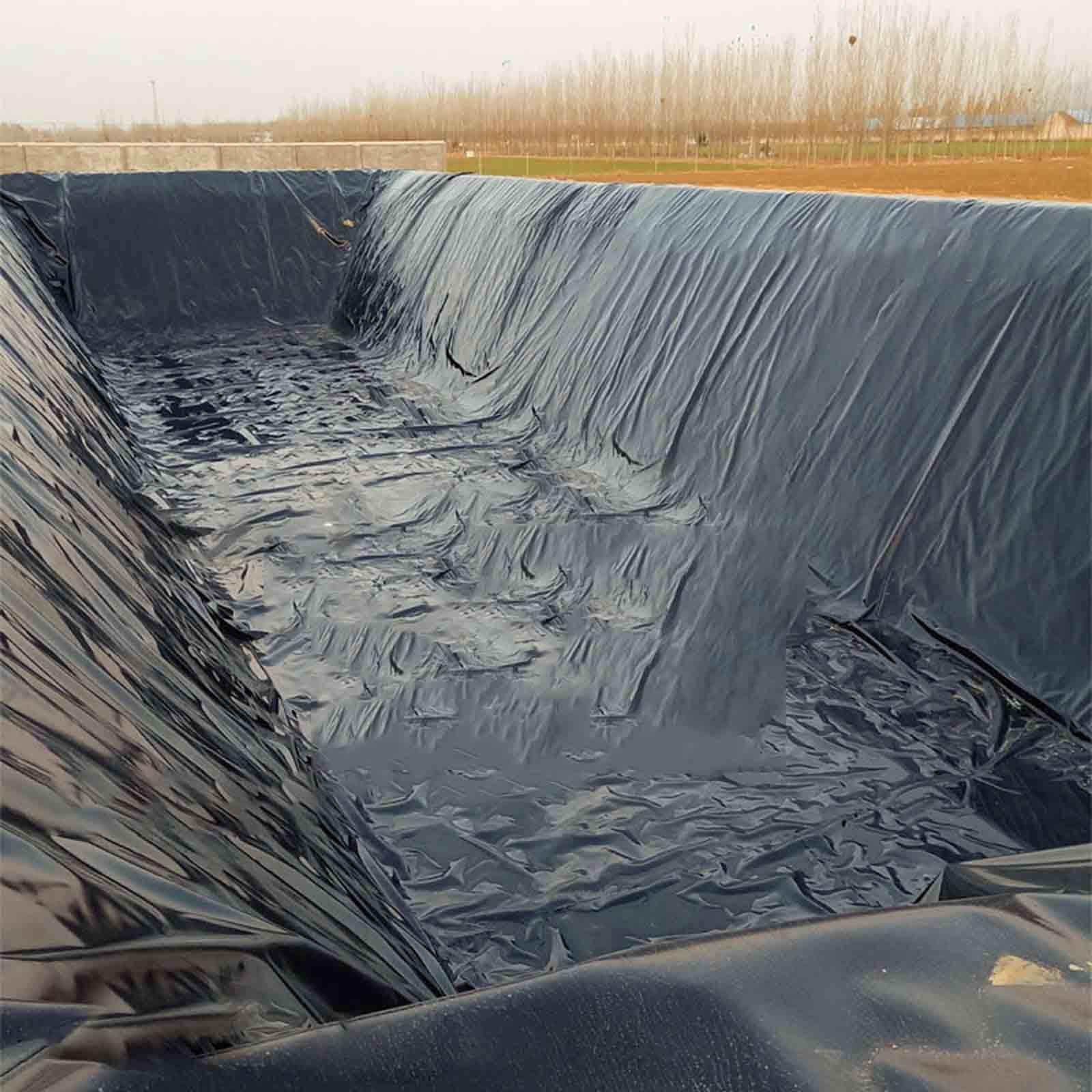 Schwarz Teichfolien HDPE Gartenteichfolie Dicke 0,2mm Reißfest Teichbecken 2x2m 3x3m 4x4m 5x8m 6x6m Miniteich Für Fischteiche Wasserspiele Und Springbrunnen (Size : 3x6m)