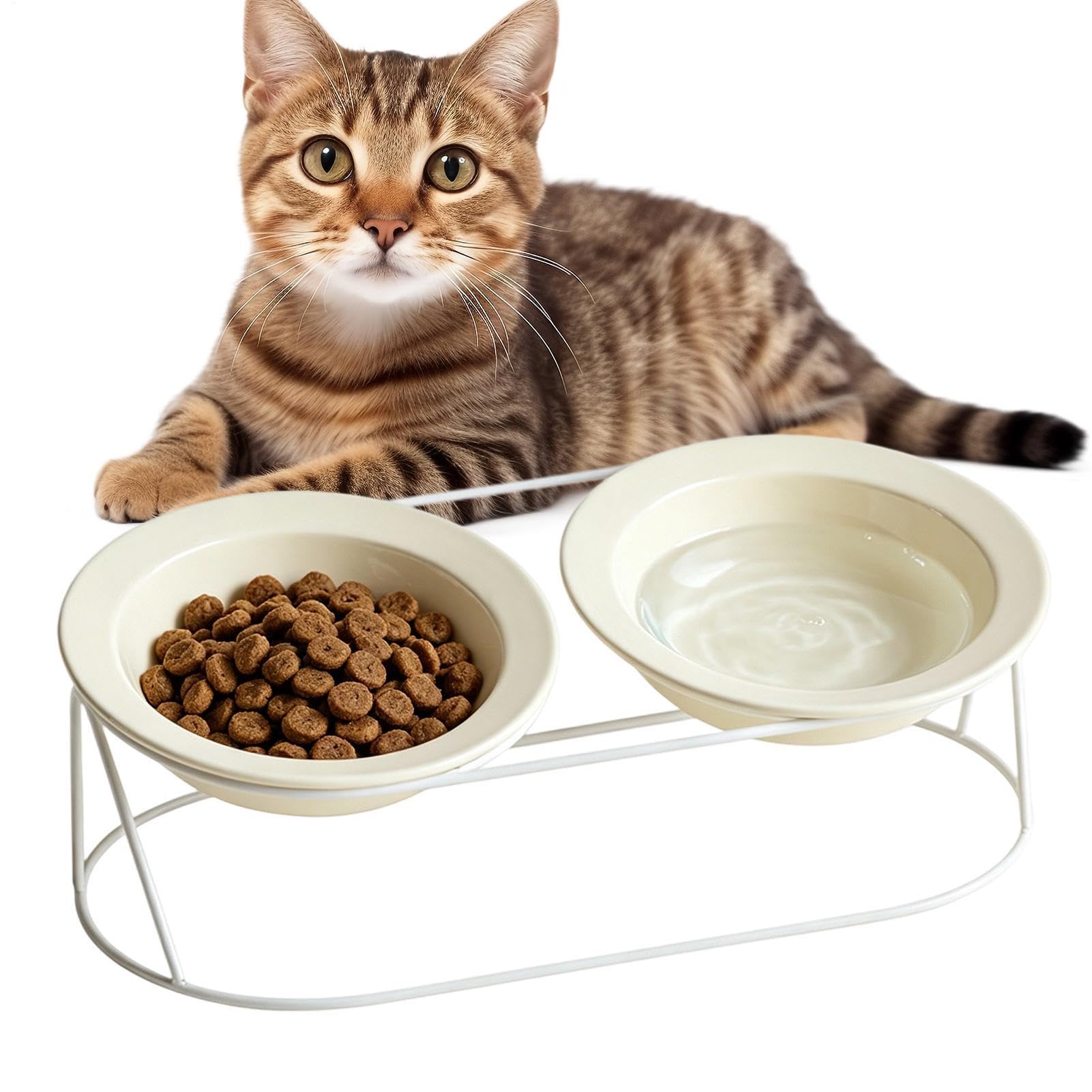 Gamelles surélevées anti-basculement pour chat
