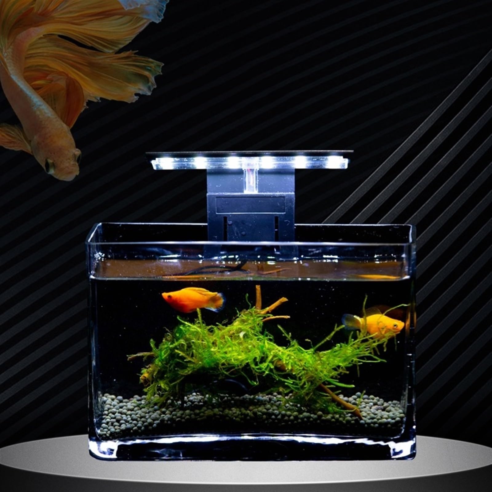 Acuario Acuario de Cristal for Sala de Estar, pequeño, Rectangular, Mini Acuario for el hogar, Acuario de Escritorio, Creativo, pez Luchador, Acuario de Peces Pecera