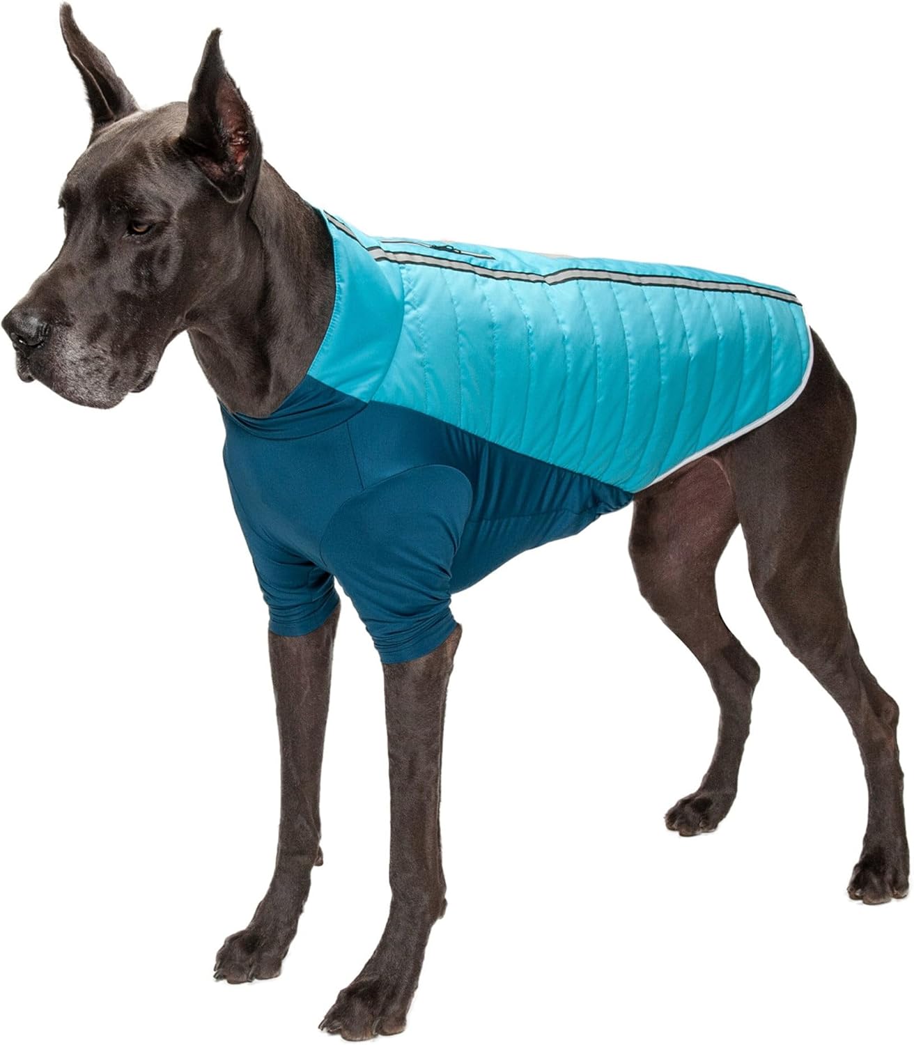 Furhaven Water-Repellent Large Dog Coat, Washable & Reflective w/ Leash Access & Stretch Fabric - Pro-Fit Active Jacket - Chrome, Large