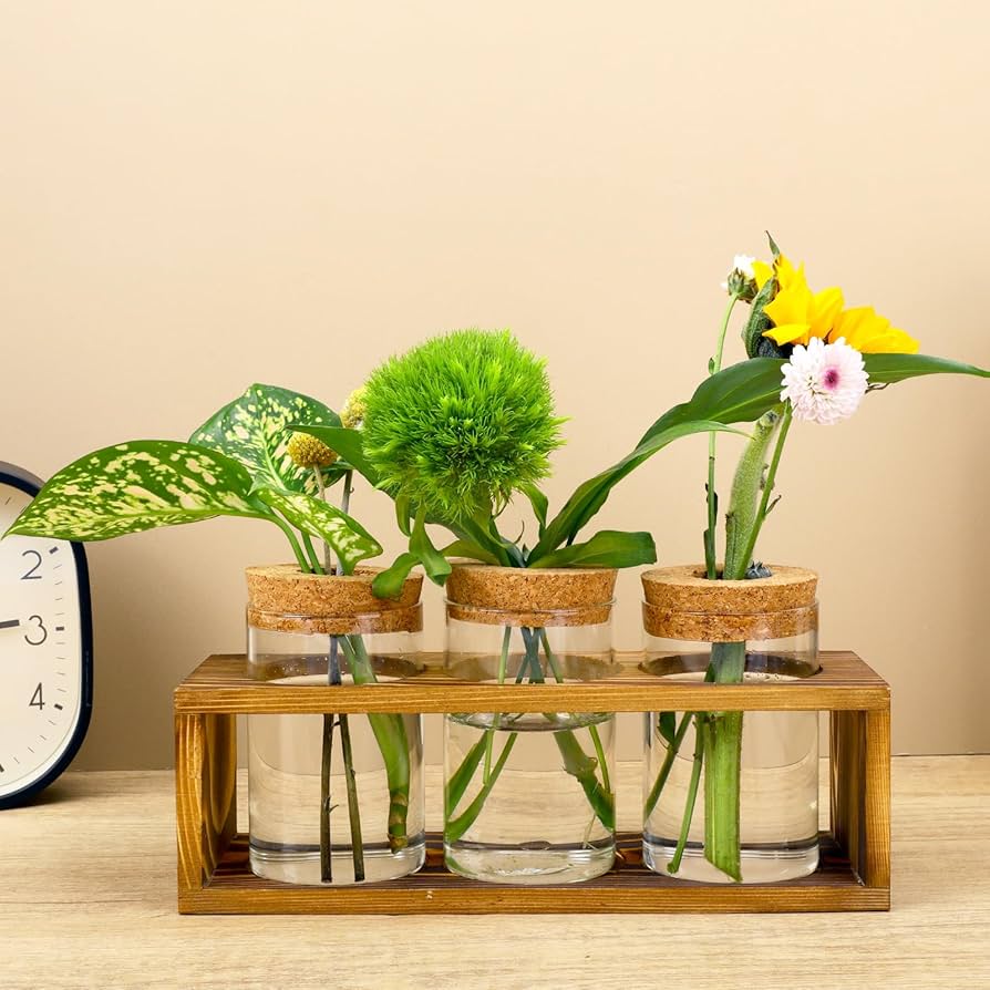 Propagation Plant Glass Stand Station Terrarium Kit Hydroponic Modern Wooden Plant Lovers Wall Hanger Stand Gift For Her Plant Gift Boho