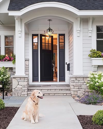 Miniatura 6 de VIANIS Farol colgante para exteriores, lámpara de araña al aire libre de granja, luces colgantes vintage al aire libre con vidrio semilla, luces de