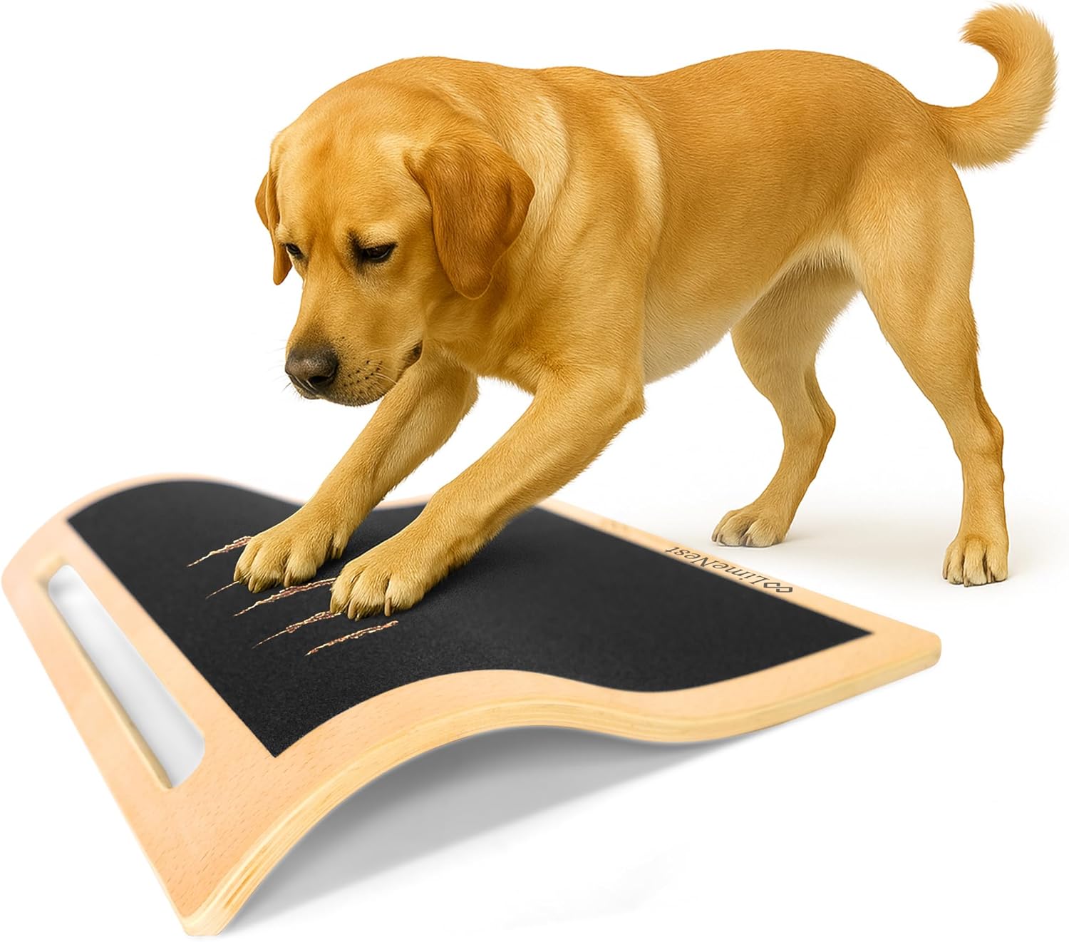 Dog Scratch Board for Nails – Dog Nail Scratch Pad with 2 Extra Sandpapers & Training Guide – Safe Dog Nail File Board for Natural Trimming – Dog Nail Board for All Sizes (Large 16.2in * 16.2in)