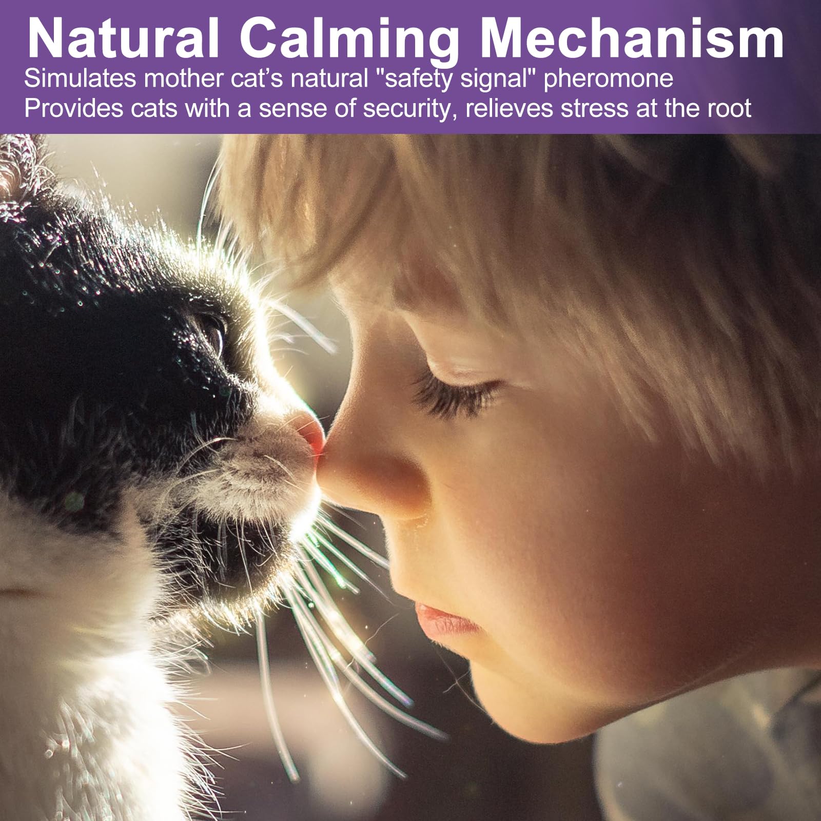 Cats & Kittens Pheromone Calming Diffuser for Cats, 48ml Refill 4 Pack + 2 Diffusers, 120 Days Long-Lasting, Relieve Anxiety, Reduce Fighting, Stop Spraying & Scratching, Safe for Pets & Humans - image 7