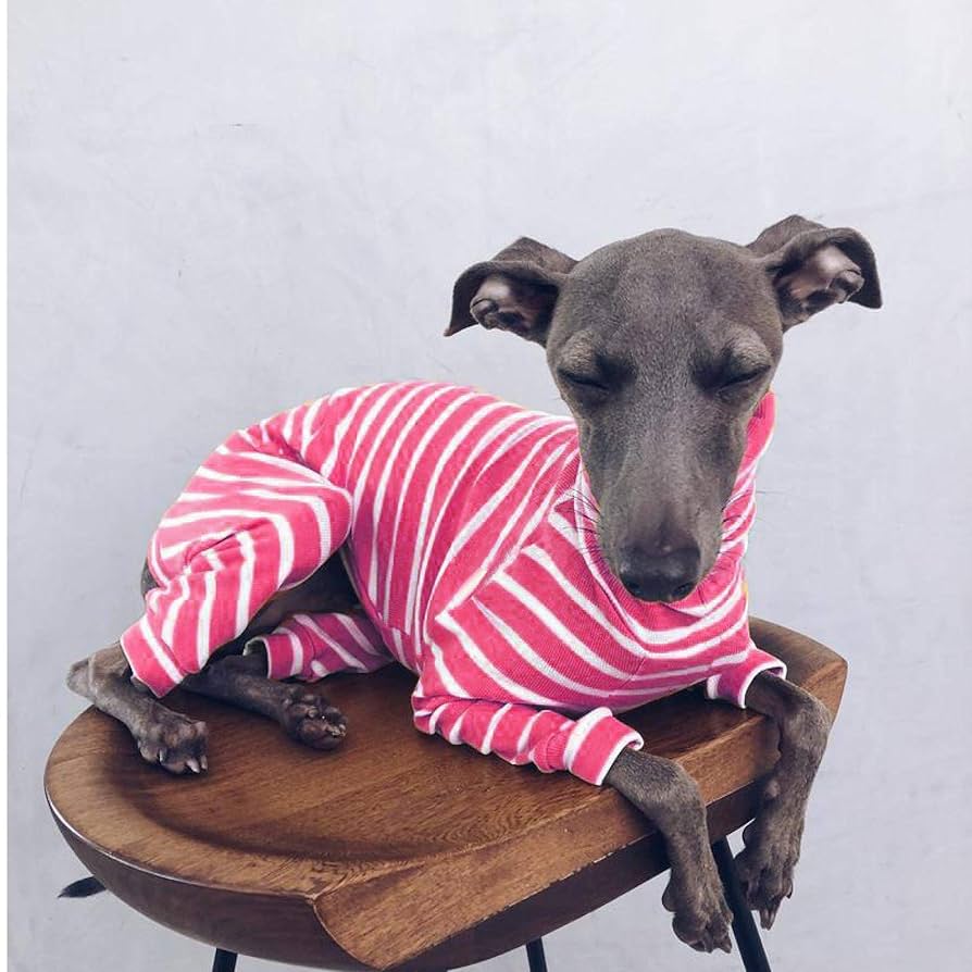 犬服 ジャンプスーツ 3L ネイビー 楽天市場】【楽天1位】小中型犬服犬洋服/ペット服ペットウェア