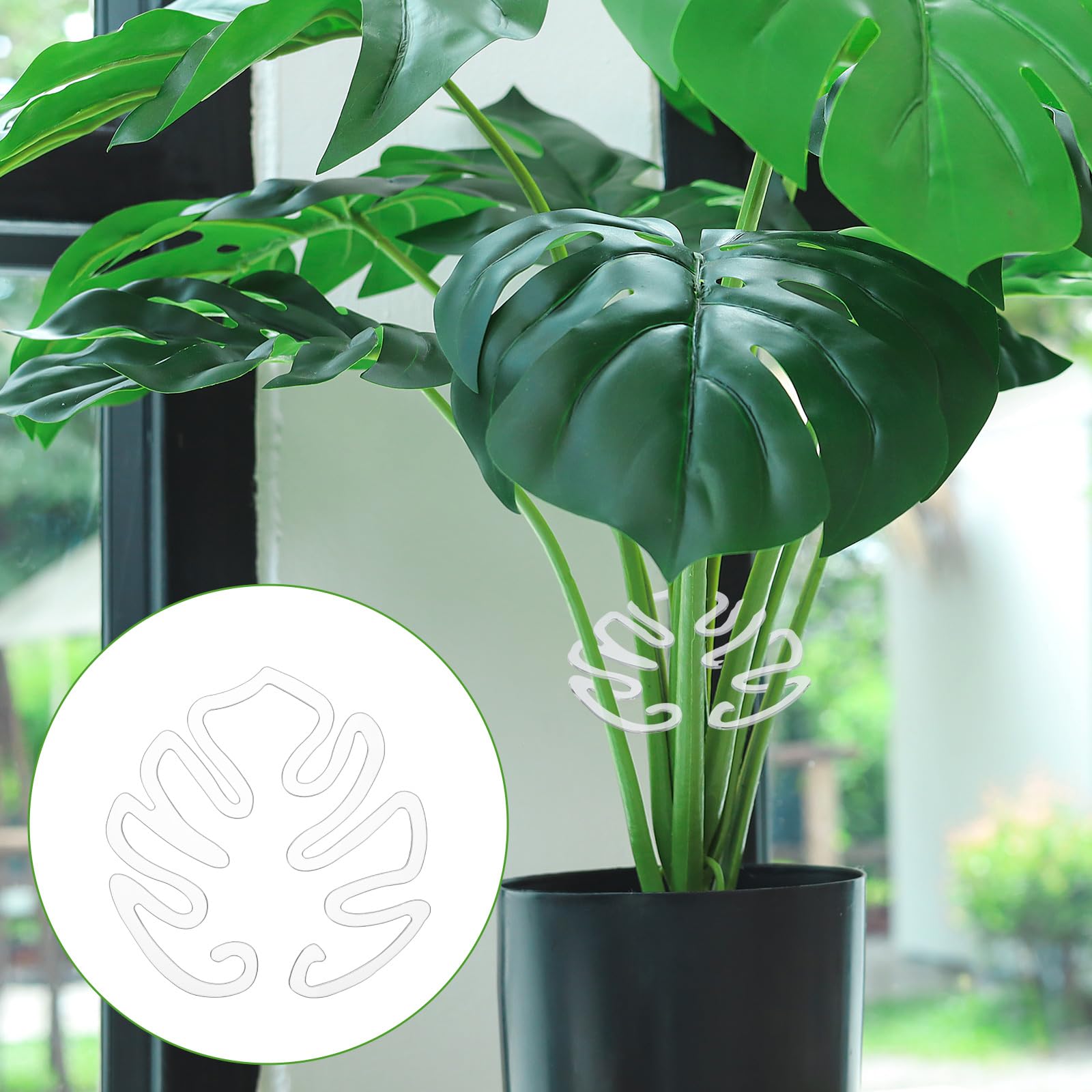 Monstera Rankhilfe Halter Form Pflanzenhalter Kokospflock Pflanzen  Stabilisator Greiferhalter Gedeihendes Wachstum Pflanzen Innen Und  Auenbereich Transparent fr Kletterpflanzen : Amazon.de: Garten