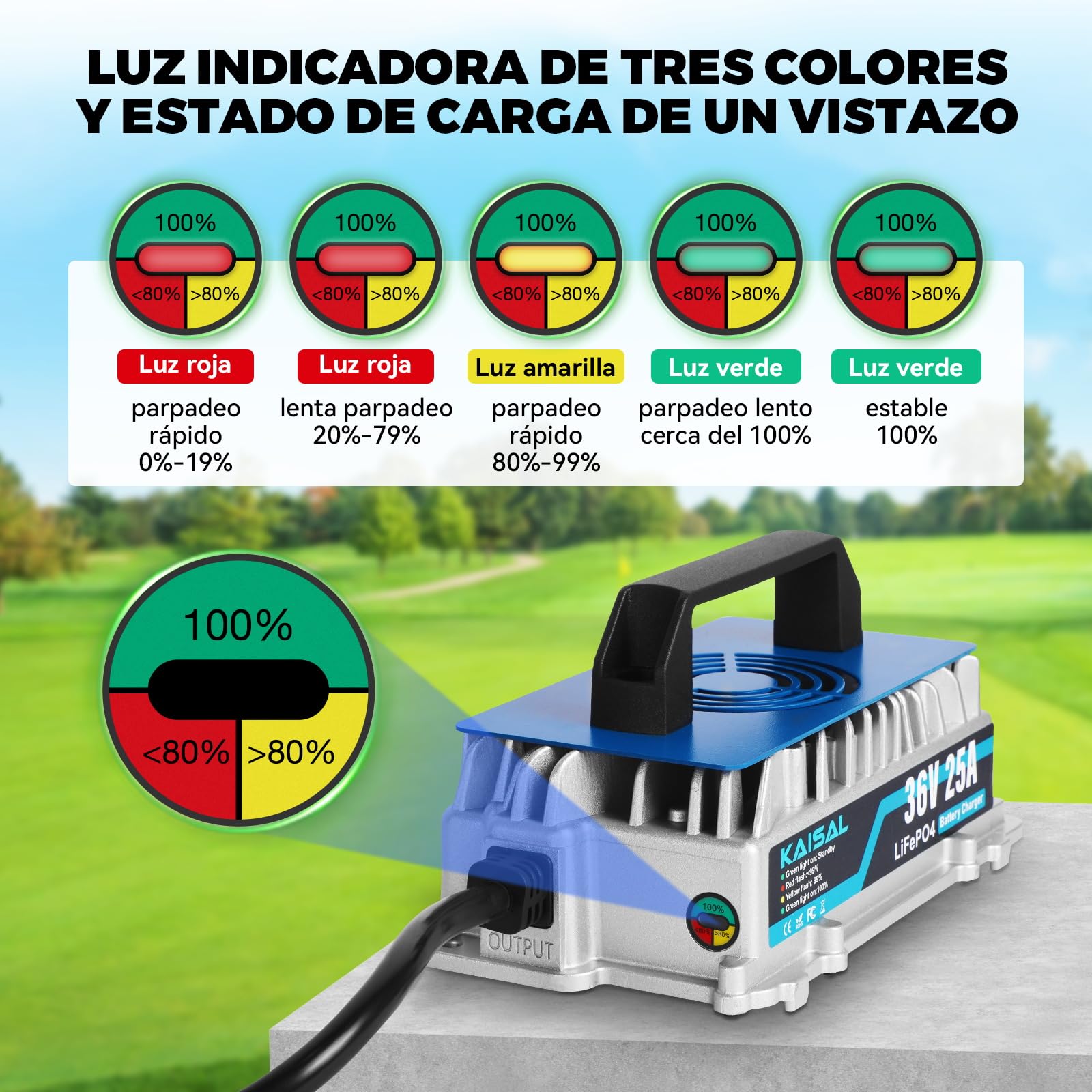 KAISAL 43.8V 25A Cargador de Bateria Litio, Cargador para 36V/38.4V Bateria LiFePO4, Cargador de Bateria Litio IP67 Impermeable,Carga Inteligente Automática,Función de Protección de Seguridad