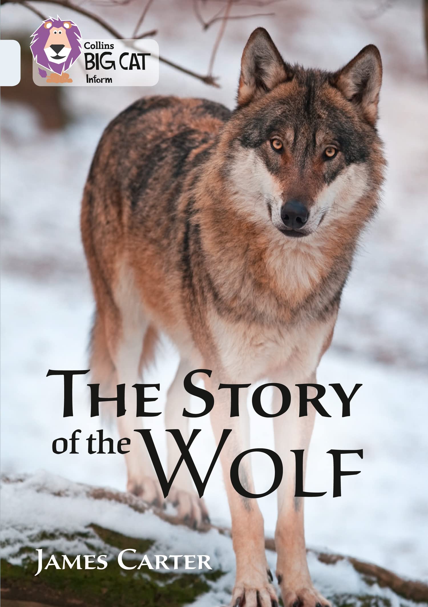 The Story of the Wolf: Band 17/Diamond (Collins Big Cat), Carter, James, Very Go