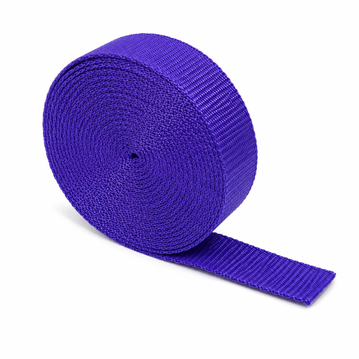 The Webbing Shop Polypropylene Webbing Strap, Continuous Length Flat Woven Tape for Bags, Crafts, Belts, Pet Collars and Leads (Purple, 25mm x 10m)