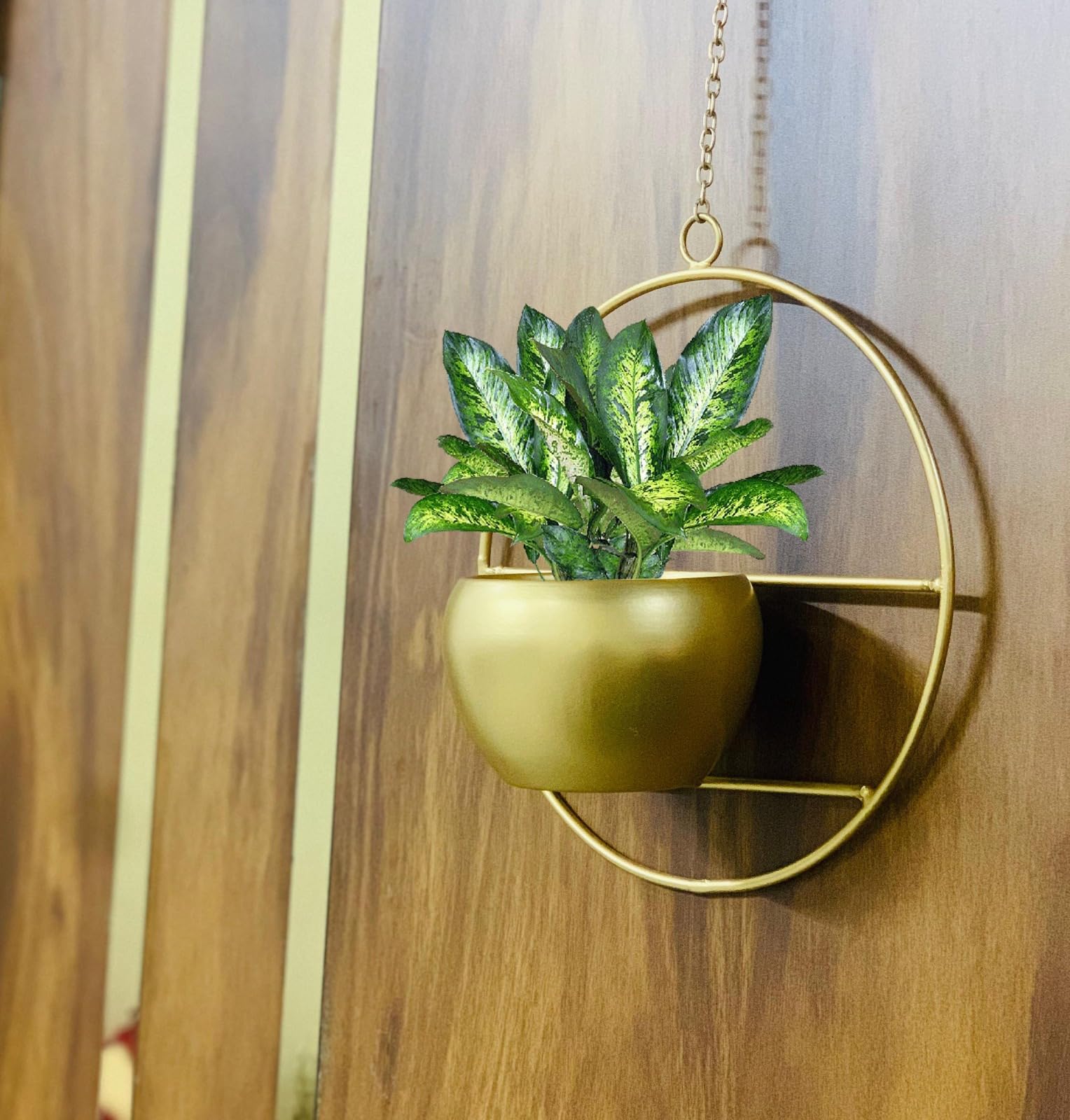 Golden Metal Hanging Planter/Basket for Plants Flower arrangment vase for Ceiling for Home Decoration Garden Decor Balcony its for Indoor and Outdoor use (B0CWH5BDLM) Amazon Price History, Amazon Price Tracker