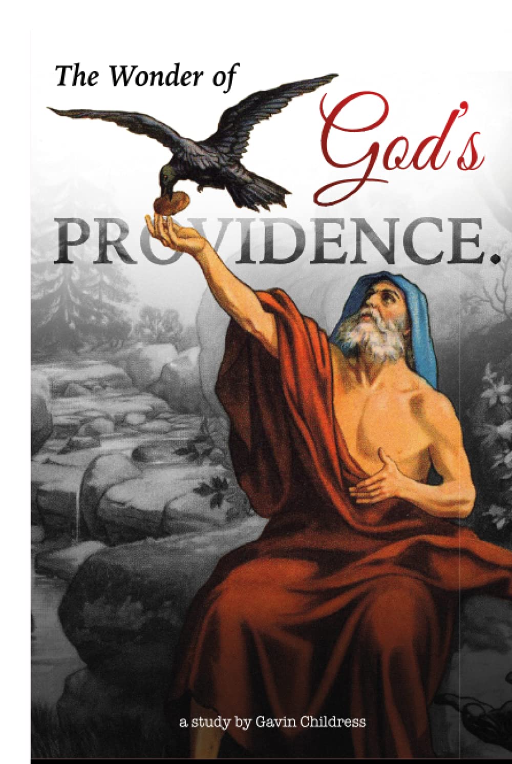 The Wonder of God's Providence: A thorough, structured and enjoyable study by Pastor Gavin Childress