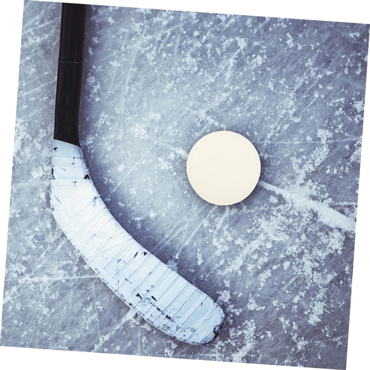 ibasenice Sports Hockey Parts Ice Training Puck Hockey Supply Hockey Practicing Supplies Hockey Balls Hockey