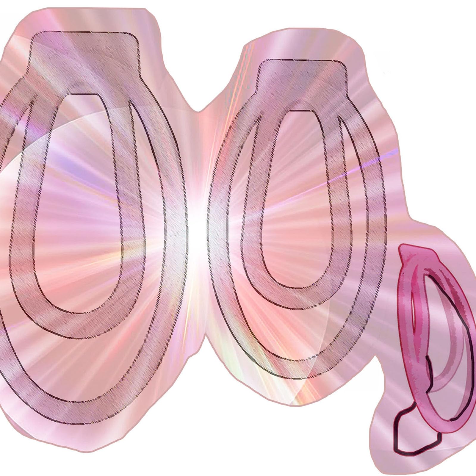 2 Sizes Male Lightweight Protection Clips, Protection Cage Accessories Set for Men -HA2402 (White:B05)