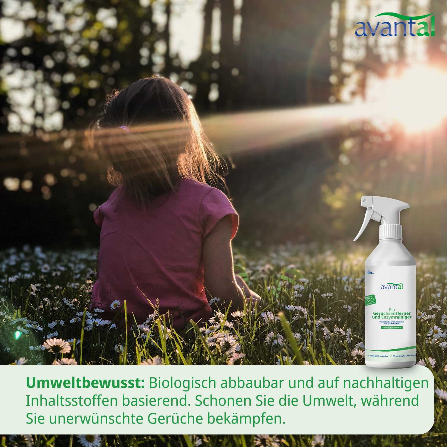 Neutralisateur d'odeurs | puissant désodorisant et nettoyant enzymatique 500 ml – Contre l'urine de chat, spray anti-urine pour chien, contre les odeurs désagréables dans les pièces, les