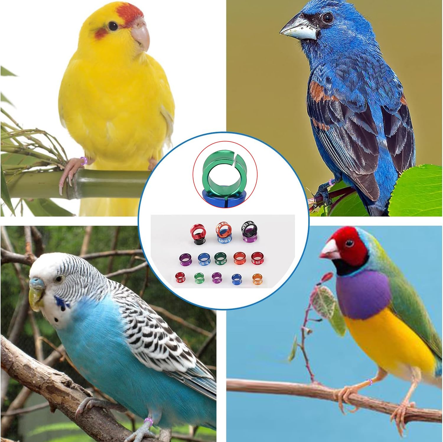 Bandas for Patas de Paloma de Aluminio numeradas, Bandas for Patas de Anillo Abierto for identificación de Aves y Aves(Mixed Colors4.0mm,150pc)