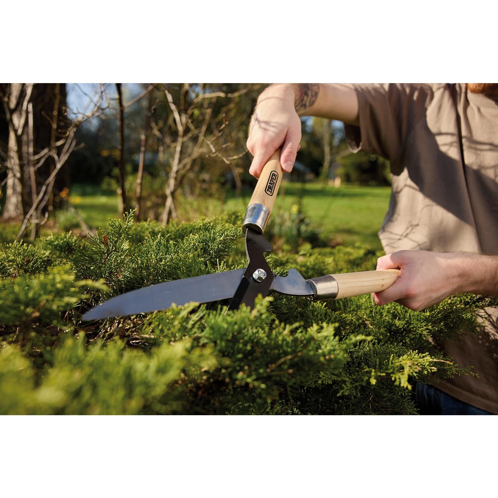 Draper 36784 Cisaille de Jardin à Bord Droit avec poignées en frêne, 230 mm