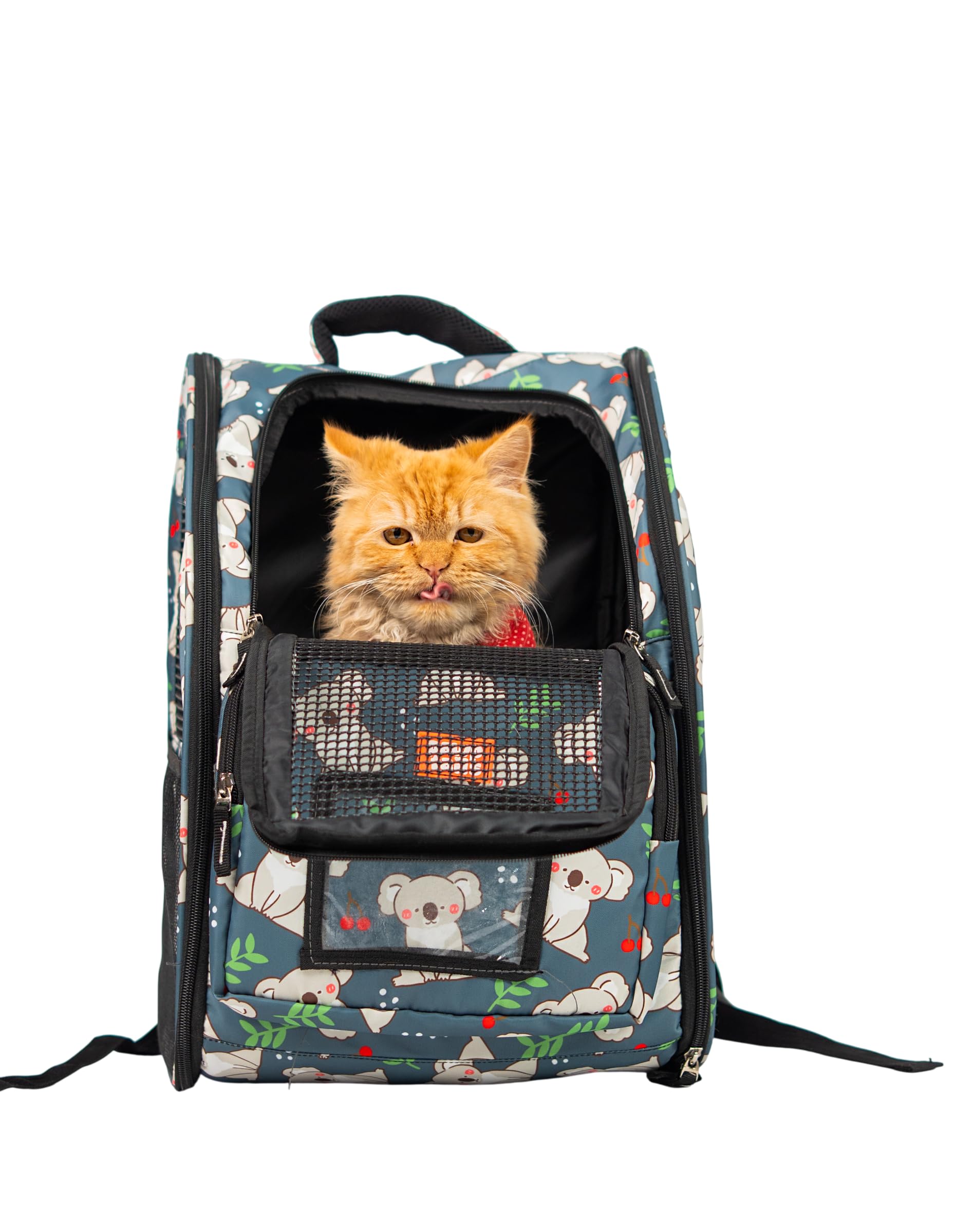 Pawptails Printed Cat Carrier Backpack for Cats | Breathable & Ventilated Pet Travel Bag | Airline-Approved Backpack with Sturdy Base | Ideal for Kittens, Hiking & Outdoor Travel (Blue-Grey)-picture-11