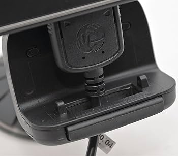 根付　獅子 tomtom さん専用 根付 獅子 tomtom さん専用 根付 獅子 tomtom さん専用