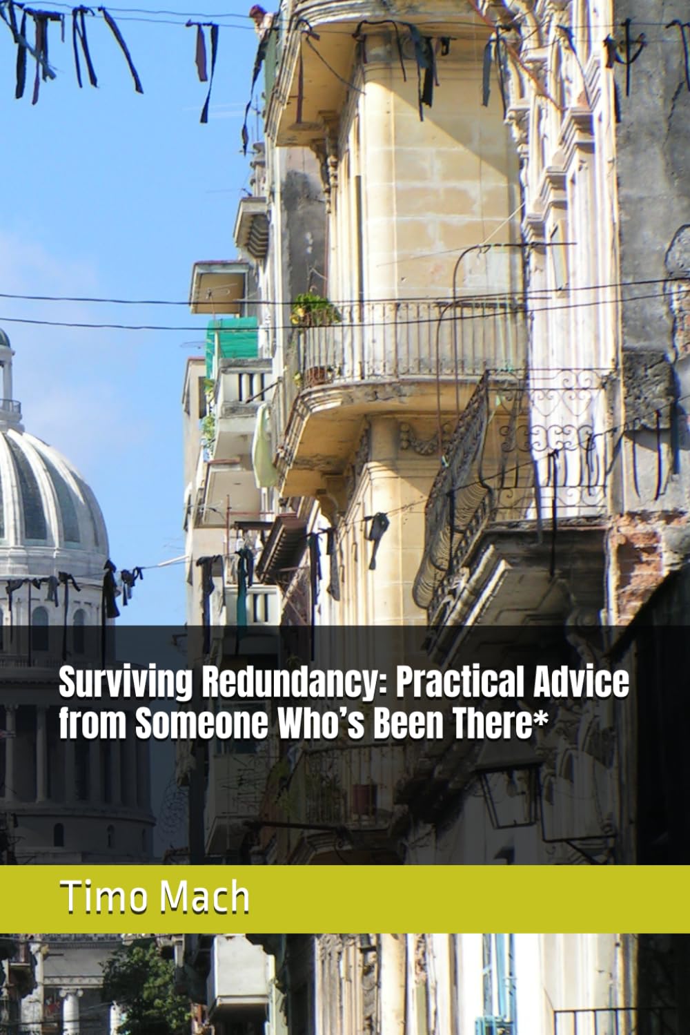 Surviving Redundancy: Practical Advice from Someone Who’s Been There*