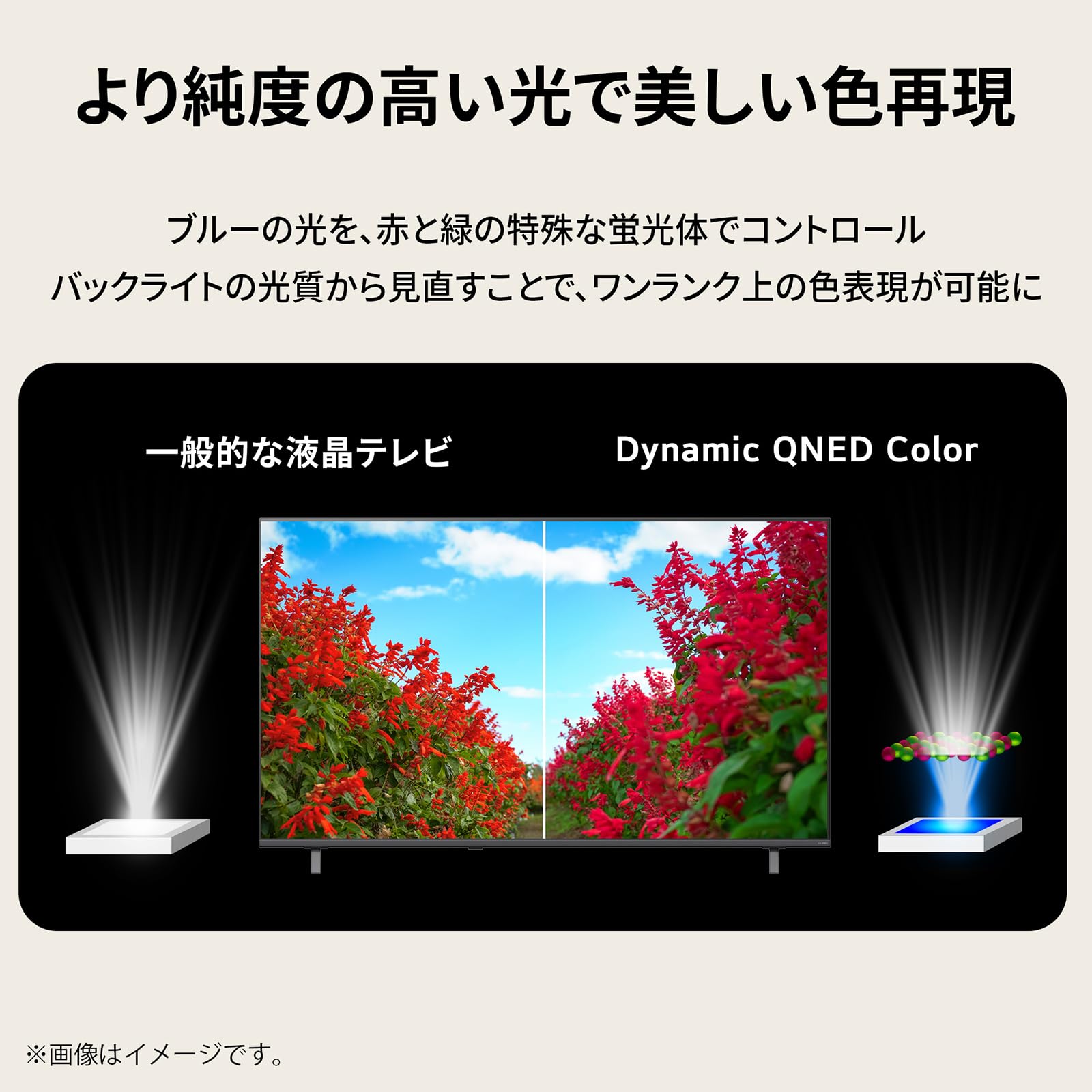 Amazon | LG 液晶テレビ 65QNED70BJA 65V型/4kチューナー内蔵/スマート