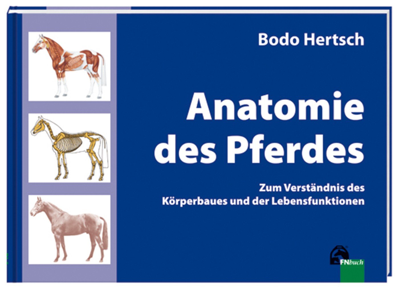 Anatomie des Pferdes: Zum Verständnis des Körperbaues und der Lebensfunktionen