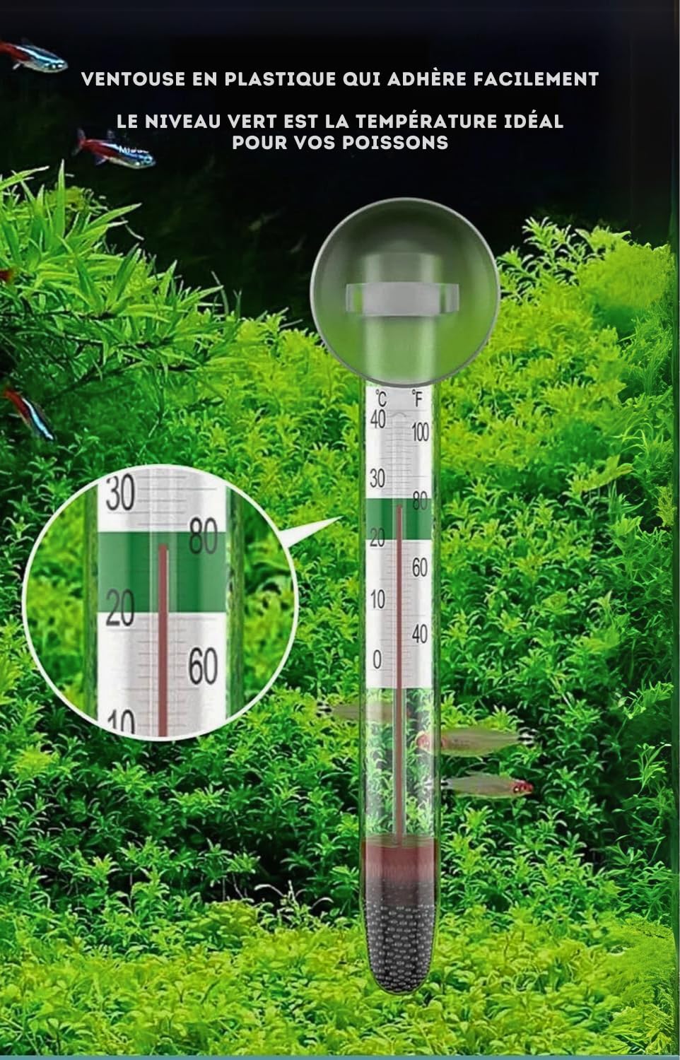Thermomètre Flottant pour Aquarium - Précision et Facilité d'Utilisation pour un Environnement Aquatique Optimal