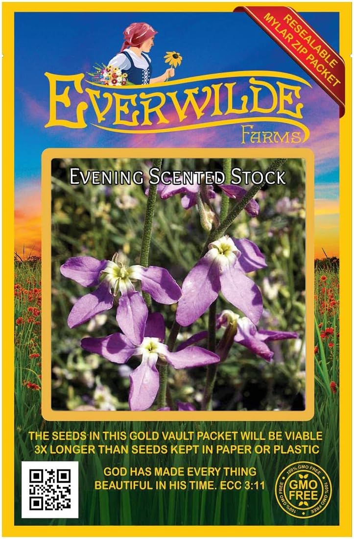 Everwilde Farms - 1 Lb Evening Scented Stock Wildflower Seeds - Gold Vault